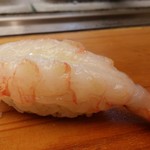 寿司処 松の - ボタン海老