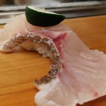 寿司処 松の - 真鯛