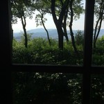 茂庵 - 船岡山が正面に見えます。俗っぽい下界かな。鴨川は近すぎて見えません。