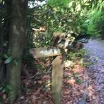 茂庵 - 今出川、吉田神社ですね。