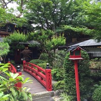 とうふ屋うかい 鷺沼店 - 2016.6月　初夏のお庭は緑いっぱい