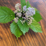 草喰 なかひがし - 