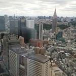 パーク ハイアット 東京 - 客室からの景観（昼）