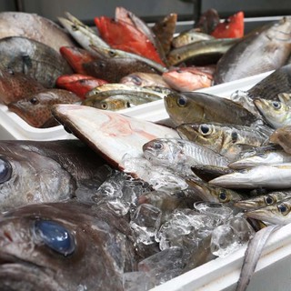 海鮮蔵 魚魚魚_1