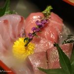 魚沼の恵をあなたへ 八海山バル - お造りの宝石箱（980円）16.6月