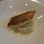 モンプチコションローズ - 28年6月　鯛のポワレ　アオサと浅利のソース　マッシュルーム添え