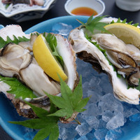 先斗町 魯ビン - 