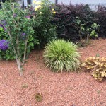 一 - ガーデニング1