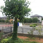 一 - ガーデニング2