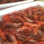 とんとこ館 - 料理写真: