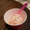サーティワンアイスクリーム セントファーレ田原店