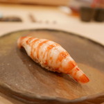 鮨　仙八 - 天草の車海老