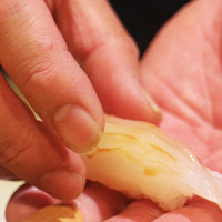 【特別コース】贅沢うに小鍋やあわびのやわらか煮を含む、宇部牛やにぎり鮨など～全10品～
