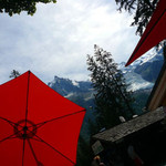 Buvette Des Gaillands - 