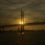 ロイヤルウイング - 