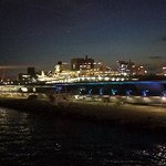 ロイヤルウイング - 