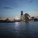 ロイヤルウイング - 