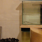 天ぷら 蕎楽亭 - ちあゆがにひきに・・・