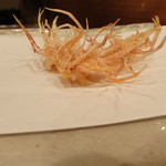 天ぷら 蕎楽亭 - 天ぷら才巻き海老