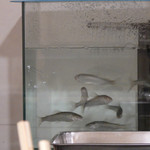 天ぷら 蕎楽亭 - ちあゆちゃん