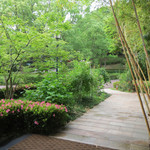 吉翠亭 - 青紅葉の新緑も粋