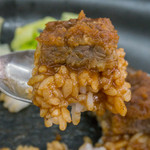 本家かつめし亭 - つゆだくです。