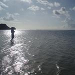 Pacific Star Resort & Spa - 