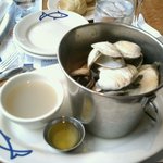 LEGAL SEA FOODS - Steamers