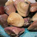 千葉産らしいです