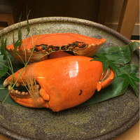 是しん - ノコギリがさみ