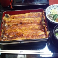 うなぎ割烹 大江戸 - やよい5200円