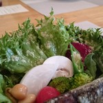 四季彩鉄板くさの - 