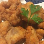 fried cartilage