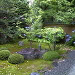 東林院 - 東林院庭