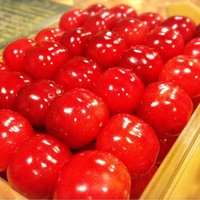 うを徳 - 2016年6月　佐藤錦