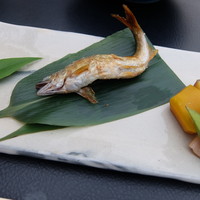 先斗町 魯ビン - 
