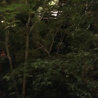 うかい鳥山 - 