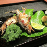 二条城ふる田 - 7】琵琶湖の小鮎 炭火焼 おろし 泉州茄子と胡瓜梅肉和え(2016.5月)