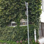 リトルフォートコーヒー - 外観です(2016年5月)。