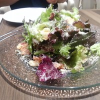 ダルマット 六本木ヒルズ店 - 