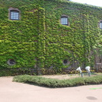 テルツィーナ - 外観