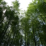 宙 渡月荘金龍 - 