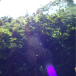 宙 渡月荘金龍 - 