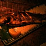 ゲンキクラブ - イサキの絶品焼魚！