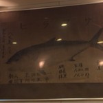 とんぺい - 店内展示の魚拓…デカい！