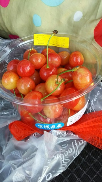 さくらんぼ狩りに行ってみませんか By マネキン人間 阿部さくらんぼ園 栗原市その他 その他 食べログ