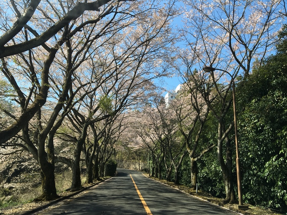 ケントスゴルフクラブ name=