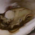 カキ小屋フィーバー - 焼き牡蠣