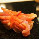 山桜 - 赤貝