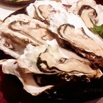 善屋  - 2016年6月